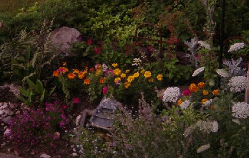 garden.jpg